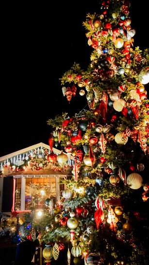 San Carlos Christmas Tree Lane-24.jpg