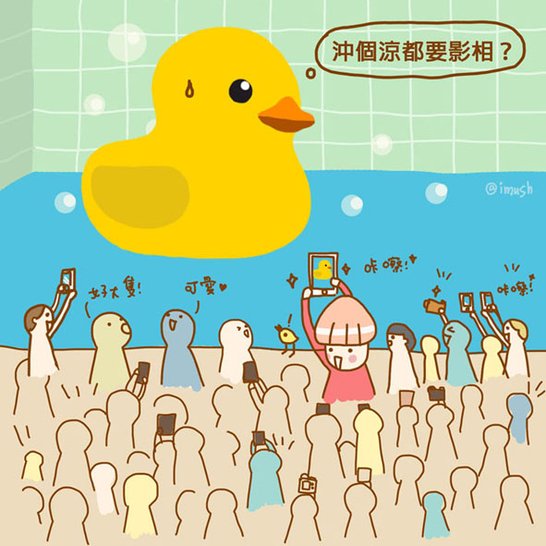 Duck