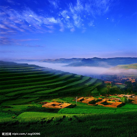 nature-3.jpg