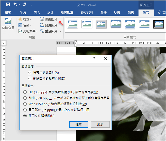 Word-將圖片不儲存於於文件中