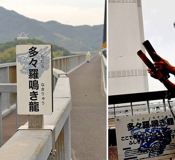 單車挑戰「島波海道」