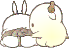 16.gif
