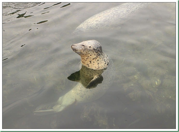 20140725_002 小樽水族館 050s