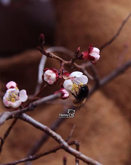 2014 0316蔬菜濃湯