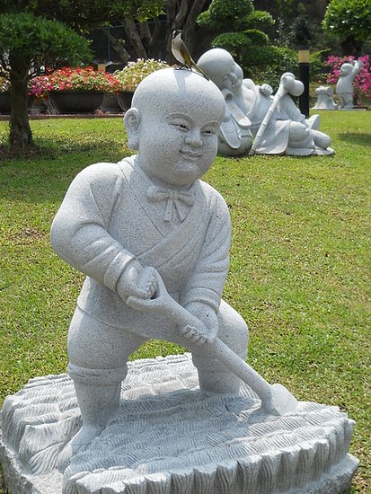 DSCN0084.JPG