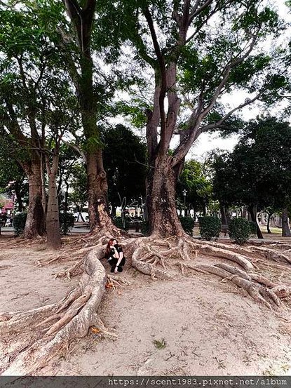 ＊【台南開箱】超酷的城市森林「巴克禮紀念公園」荒野公園，你我