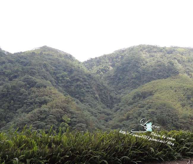 沿途風景