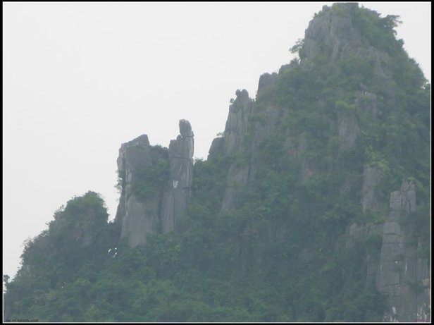 P1190355