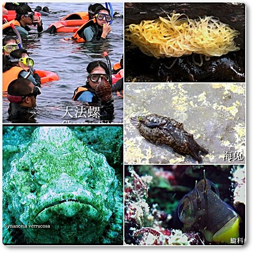 生物