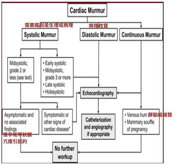 心音診斷流程