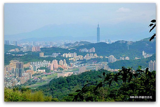 台北文山 貓空賞杏花