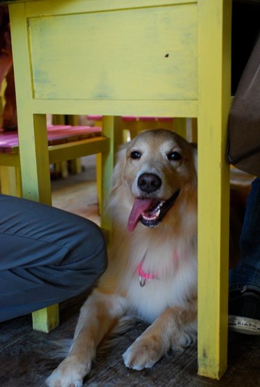 DSC_0074.JPG