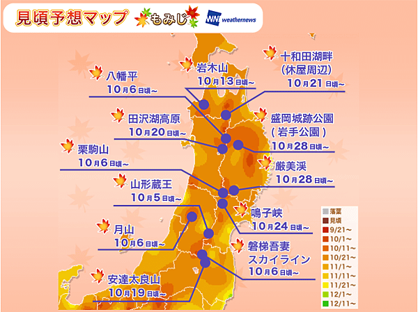 東北盛開預測-2017楓紅.png