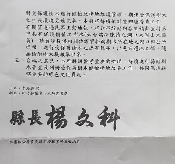 新竹縣民多次為縣內老樹請命保護，縣府仍就老舊法令便宜行事，不