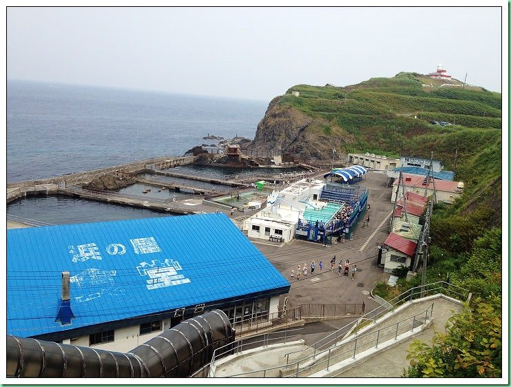 20140725_002 小樽水族館 630s