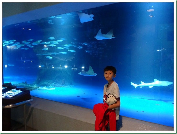 20140725_002 小樽水族館 150s