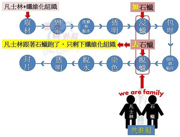 陰莖凡士林/石蠟注射(The vaseline/paraff