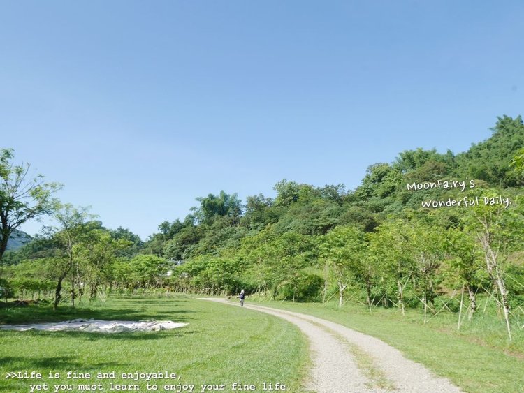 高雄住宿 美濃景點 蝶舞澗 露營區 地址 價格 營業時間