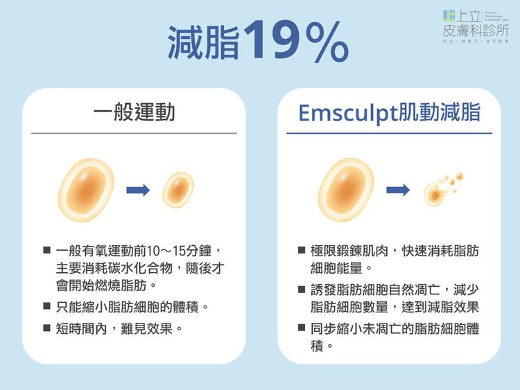 EMSCULPT肌動減脂-翹臀-台北醫美診所推薦-上立皮膚科-台北體雕-增肌減脂-蜜桃臀-馬甲線-六塊肌