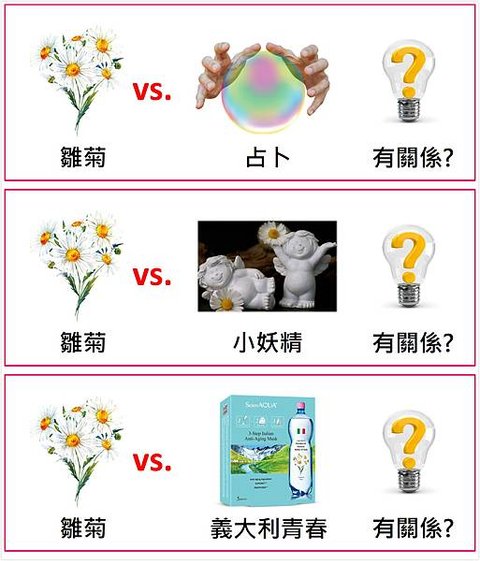 雛菊WHY4.jpg