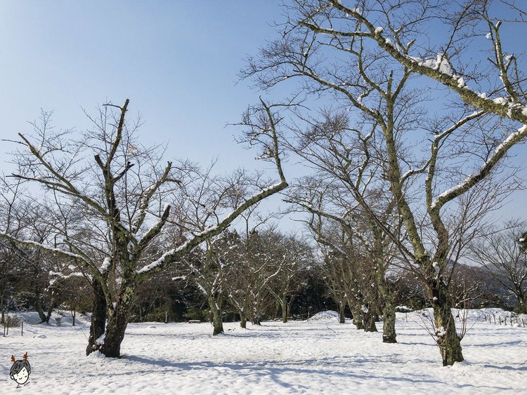 200218-月山富田城-16.jpg