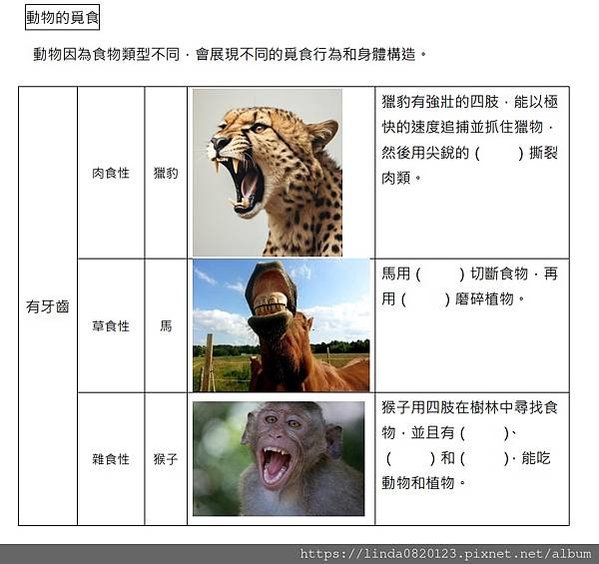 20221129~ 全新 i助教 (天才940學習平台全新改