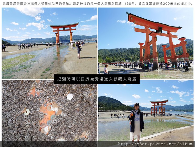 10D2_1_1-2_02.jpg