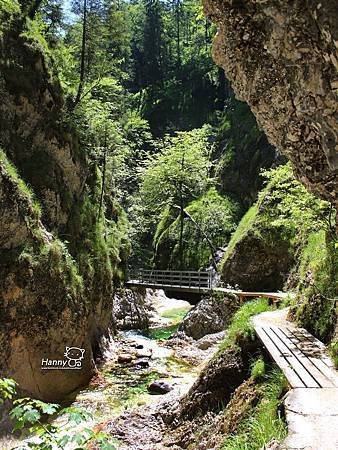 2014 0608 Almbachklamm