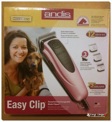 andis 001.jpg