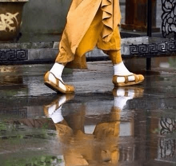 雨中行走鞋兩雙 四腳齊步都一樣--川流先生 &amp; 臉書友Su