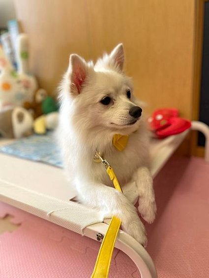 美好毛日_210823_8.jpg