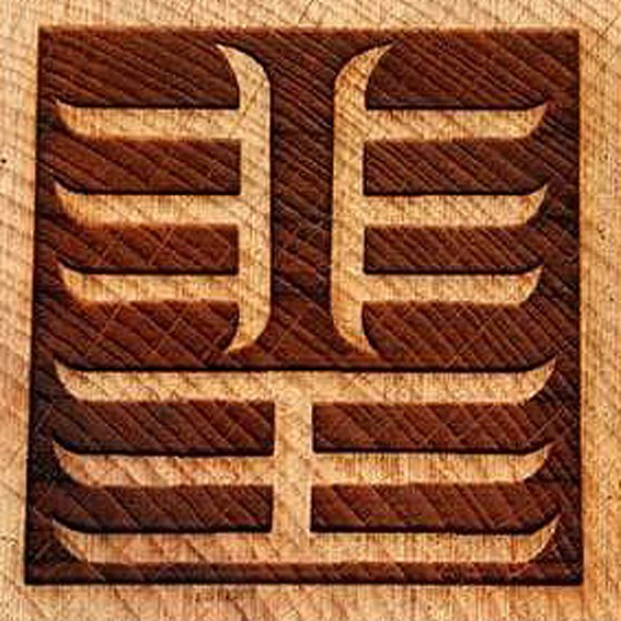 feiwangyin01