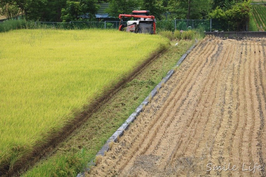 ▌宜蘭親子民宿▌冬山住宿「慕哲清居」溜滑梯、沙池、彈跳床、泡湯池