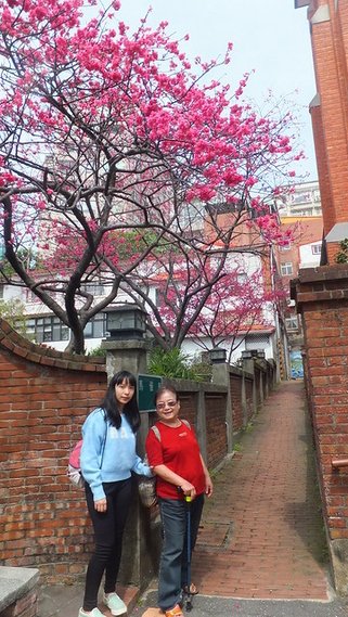 淡水天元宮 (73)