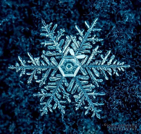 snowflake-1-134-2019-John-Entwistle-NJ-e1548359736899