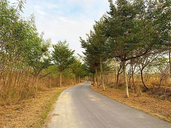 | 雲林西螺 | 出門跑步不忘吃美食 太平媽祖祈福馬拉松一場