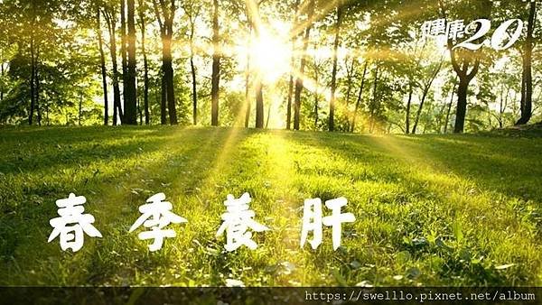 健康養生分享● 春季養肝正當時