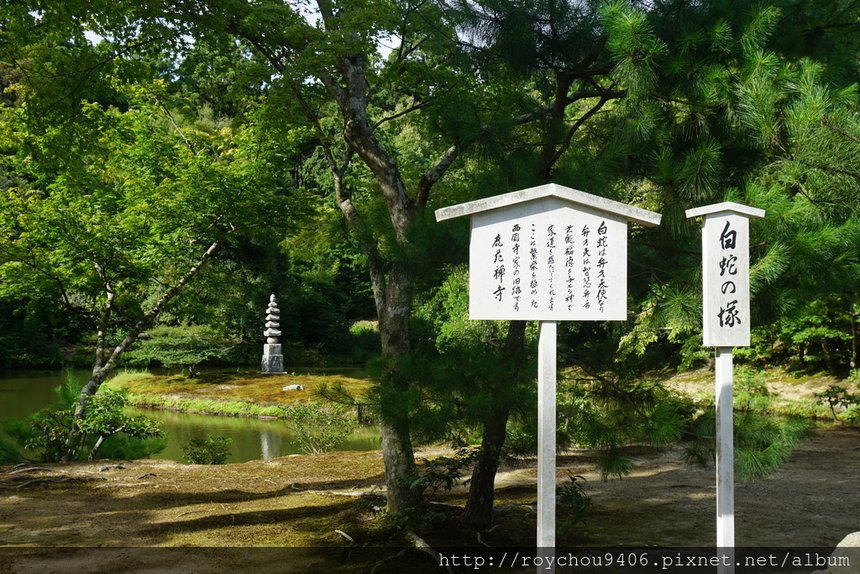 DSC08130.JPG