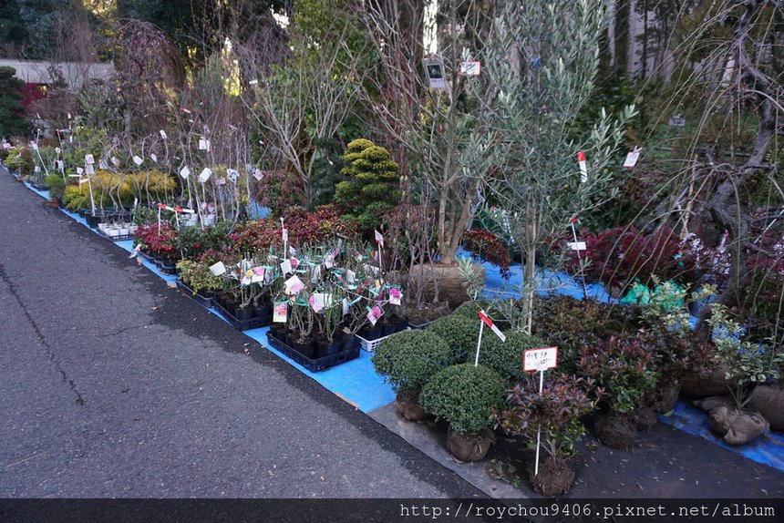 DSC03890.JPG