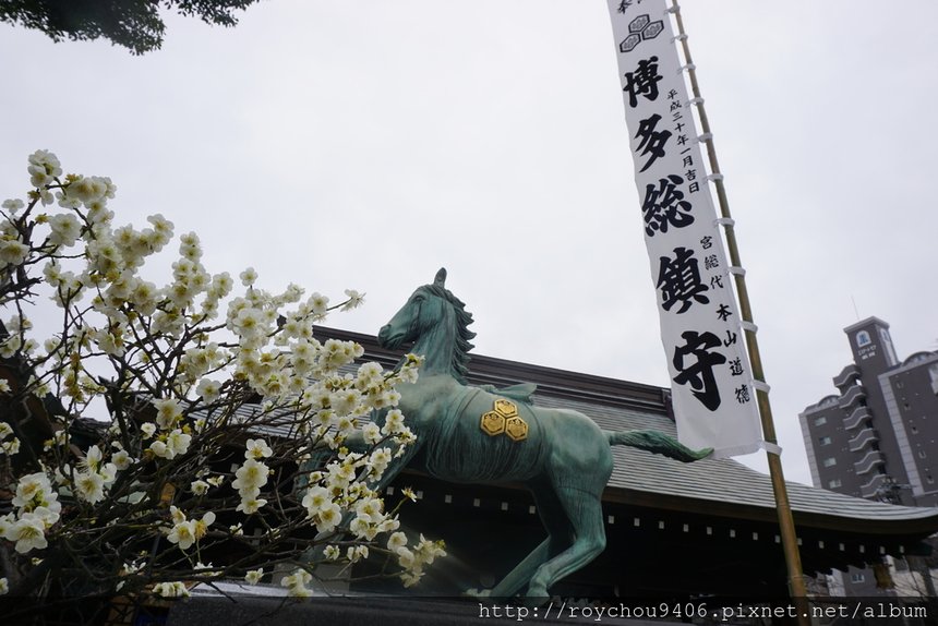 DSC03506.JPG