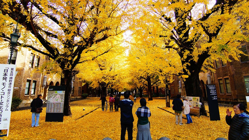 東京大學