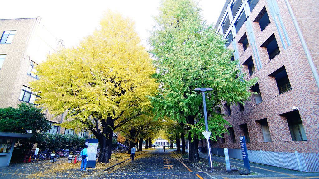 東京大學