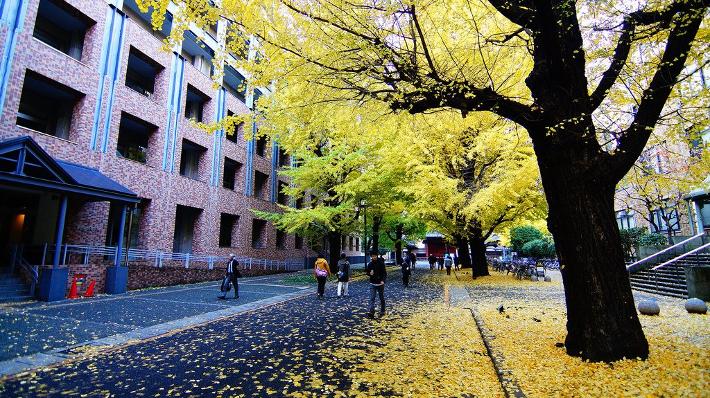 東京大學