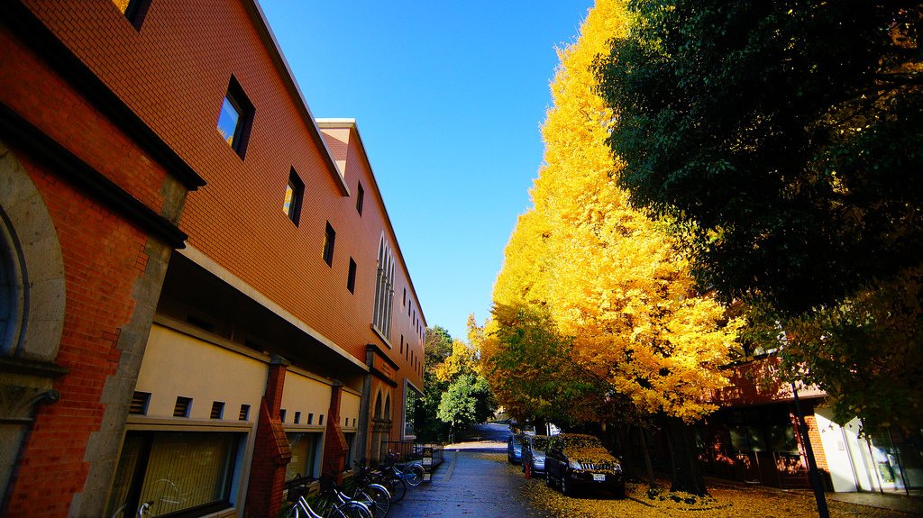 東京大學