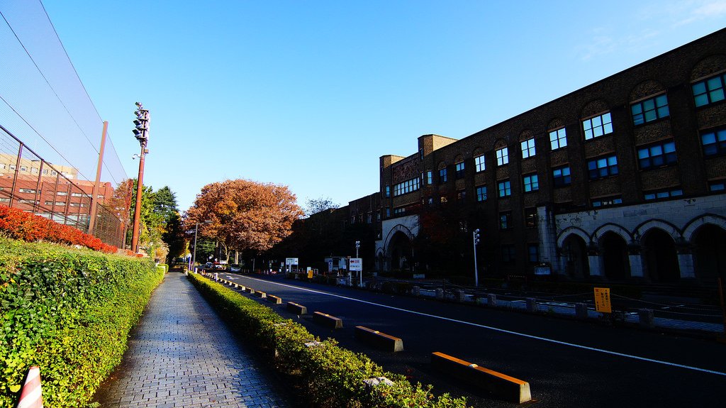 東京大學