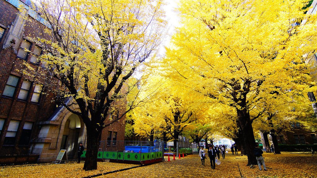 東京大學