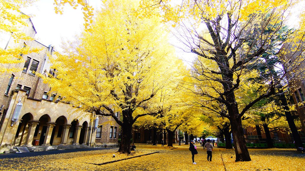 東京大學