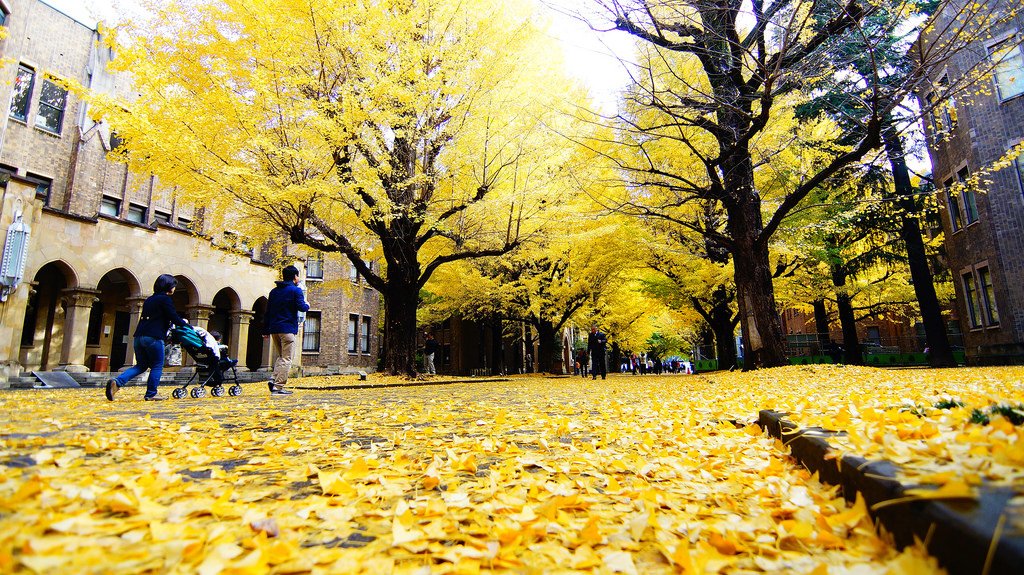 東京大學