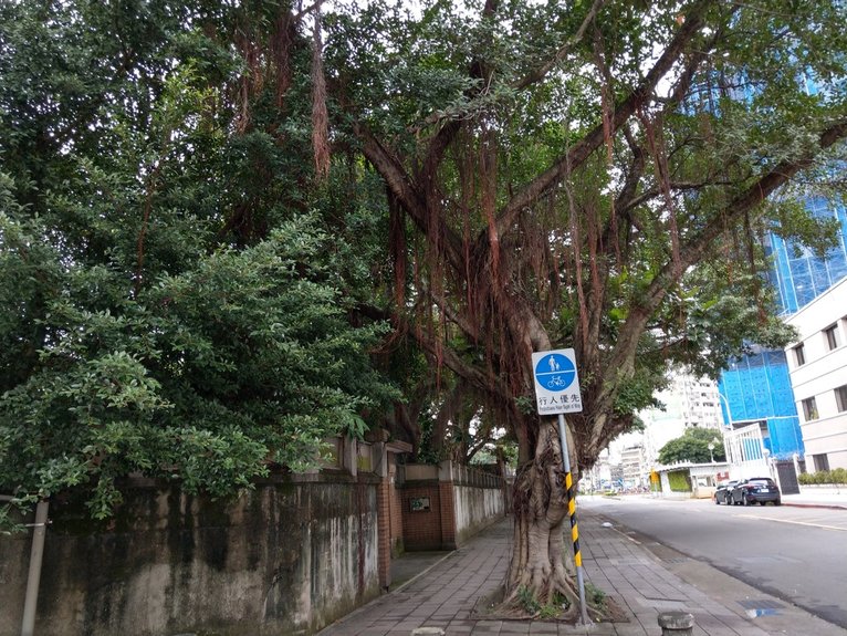 【城南】從南菜園到南昌公園：牯嶺街ｘ百年骨科診所ｘ方東美寓所