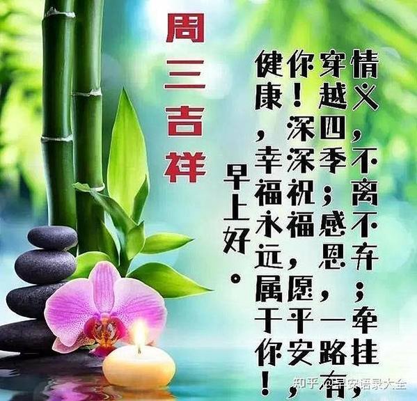 情義，不離不棄；牽掛...